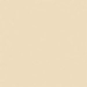 SANDERSON PAINT YELLOW BIRCH  17